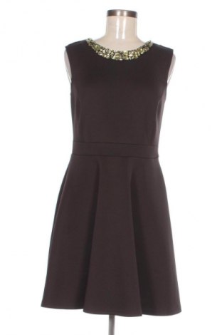 Kleid Dorothy Perkins, Größe M, Farbe Schwarz, Preis € 29,62
