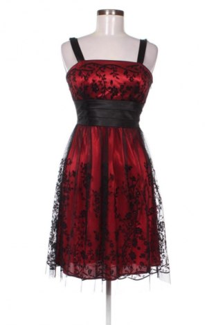 Kleid Dressbarn, Größe M, Farbe Mehrfarbig, Preis € 19,97