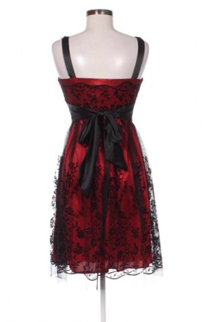 Kleid Dressbarn, Größe M, Farbe Mehrfarbig, Preis € 19,97