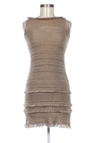 Kleid Luisa Spagnoli, Größe S, Farbe Braun, Preis € 105,00