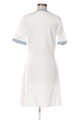 Kleid Morgan, Größe XL, Farbe Mehrfarbig, Preis 71,99 €