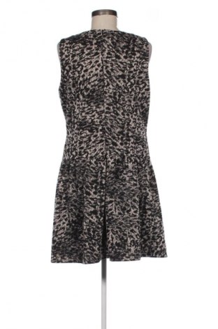 Šaty  Next, Velikost XL, Barva Vícebarevné, Cena  592,00 Kč