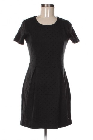 Kleid Peppercorn, Größe M, Farbe Mehrfarbig, Preis € 14,99