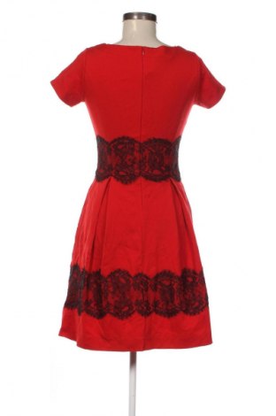 Kleid Piu & Piu, Größe S, Farbe Mehrfarbig, Preis € 15,99