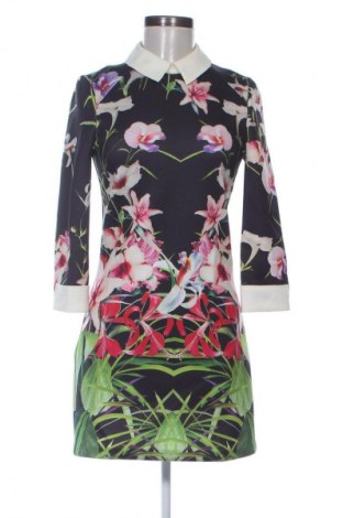 Kleid Ted Baker, Größe XS, Farbe Mehrfarbig, Preis € 80,18