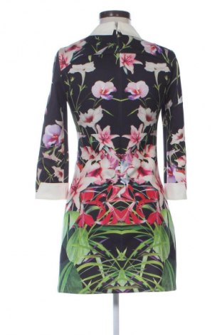 Kleid Ted Baker, Größe XS, Farbe Mehrfarbig, Preis € 80,18