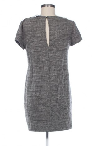 Φόρεμα Zara, Μέγεθος M, Χρώμα Πολύχρωμο, Τιμή 28,80 €