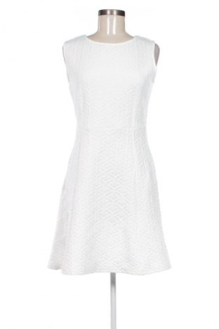 Kleid Zeeman, Größe M, Farbe Mehrfarbig, Preis € 19,97