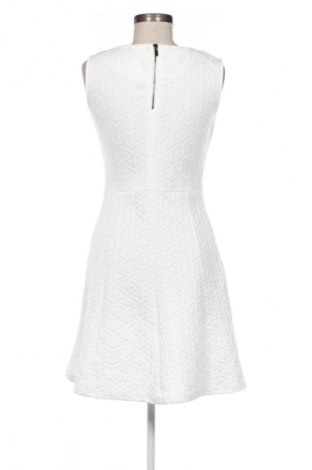 Kleid Zeeman, Größe M, Farbe Mehrfarbig, Preis € 19,97