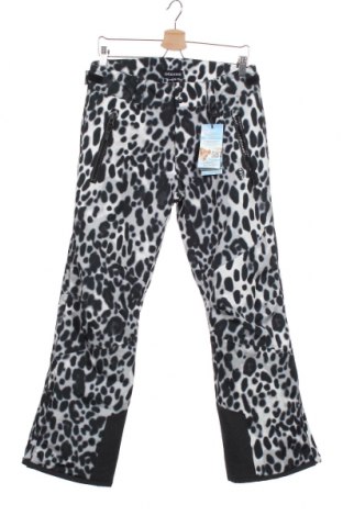 Детски панталон за зимни спортове Chiemsee, Размер 15-18y/ 170-176 см, Цвят Многоцветен, Полиестер, Цена 179,25 лв.