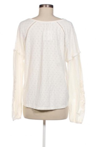 Damen Shirt Bonobo, Größe M, Farbe Weiß, Preis € 37,11