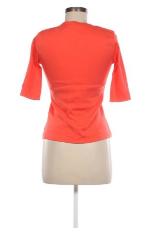 Damen Shirt Burton of London, Größe XS, Farbe Orange, Preis 37,11 €