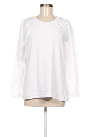 Γυναικεία μπλούζα C&A, Μέγεθος XL, Χρώμα Λευκό, Τιμή 3,88 €