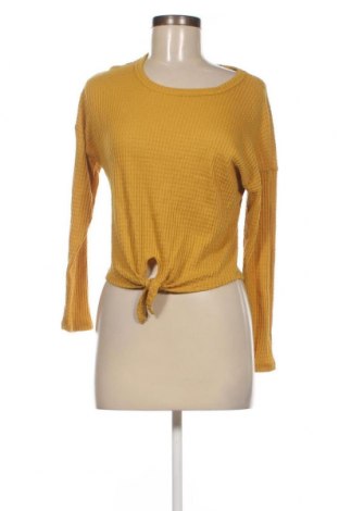 Γυναικεία μπλούζα Caution to the Wind, Μέγεθος M, Χρώμα Κίτρινο, Τιμή 3,12 €