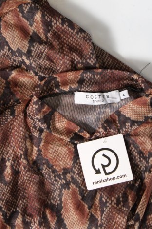Γυναικεία μπλούζα Costes, Μέγεθος L, Χρώμα Πολύχρωμο, Τιμή 3,71 €
