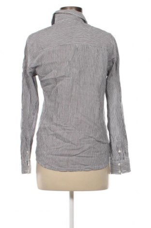 Γυναικεία μπλούζα Ellen Amber, Μέγεθος S, Χρώμα Πολύχρωμο, Τιμή 2,59 €