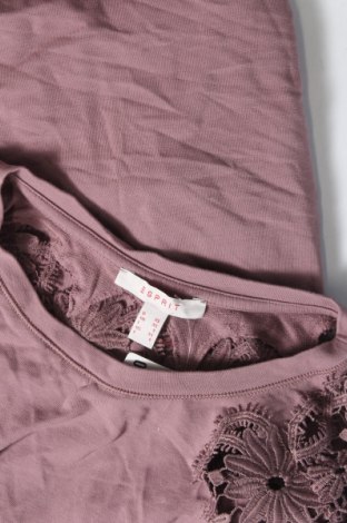 Γυναικεία μπλούζα Esprit, Μέγεθος XS, Χρώμα Βιολετί, Τιμή 2,67 €