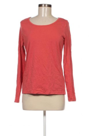 Γυναικεία μπλούζα Gina, Μέγεθος S, Χρώμα Κόκκινο, Τιμή 2,59 €