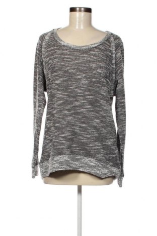 Damen Shirt Kut From The Kloth, Größe L, Farbe Grau, Preis € 23,66