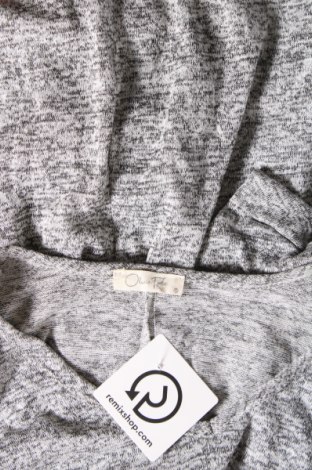 Γυναικεία μπλούζα Olivia Rae, Μέγεθος M, Χρώμα Γκρί, Τιμή 9,62 €