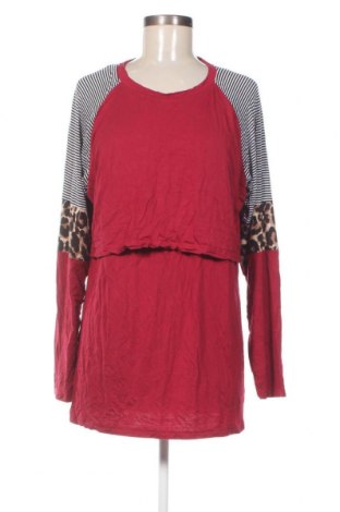 Γυναικεία μπλούζα Smallshow, Μέγεθος XL, Χρώμα Πολύχρωμο, Τιμή 2,12 €