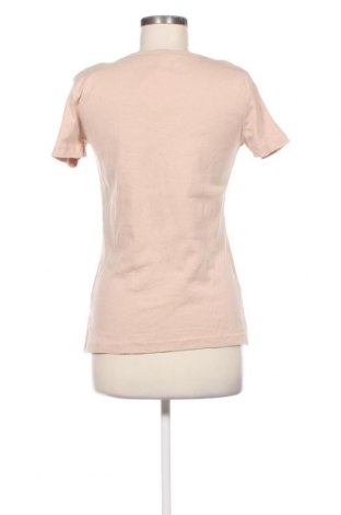 Γυναικεία μπλούζα Terranova, Μέγεθος XL, Χρώμα  Μπέζ, Τιμή 7,67 €