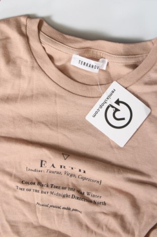 Γυναικεία μπλούζα Terranova, Μέγεθος S, Χρώμα  Μπέζ, Τιμή 11,75 €