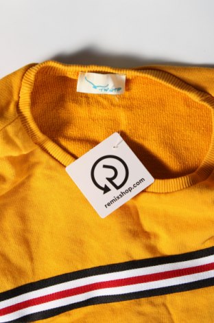 Damen Shirt Twintip, Größe M, Farbe Gelb, Preis 13,22 €