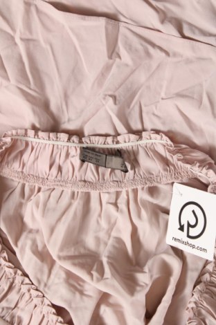 Damen Shirt Zara, Größe XS, Farbe Aschrosa, Preis 2,78 €