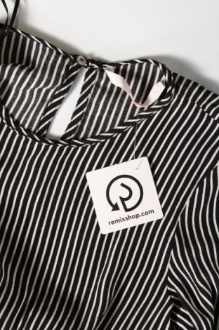 Damen Shirt Zara Trafaluc, Größe S, Farbe Mehrfarbig, Preis € 2,86