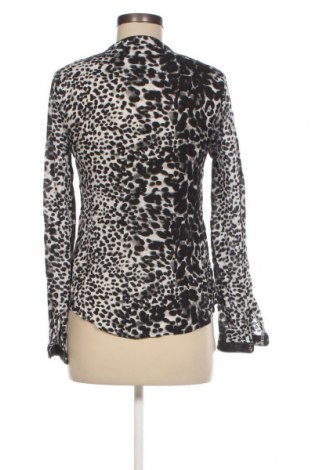 Γυναικεία μπλούζα Zebra, Μέγεθος XS, Χρώμα Πολύχρωμο, Τιμή 2,70 €