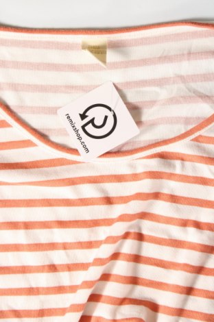 Damen Shirt Zebra, Größe M, Farbe Mehrfarbig, Preis 3,17 €