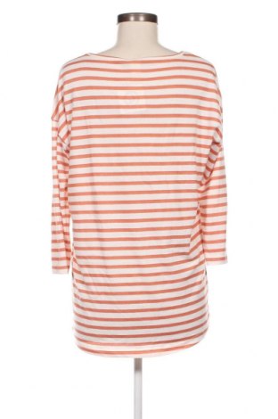 Γυναικεία μπλούζα Zebra, Μέγεθος M, Χρώμα Πολύχρωμο, Τιμή 3,29 €