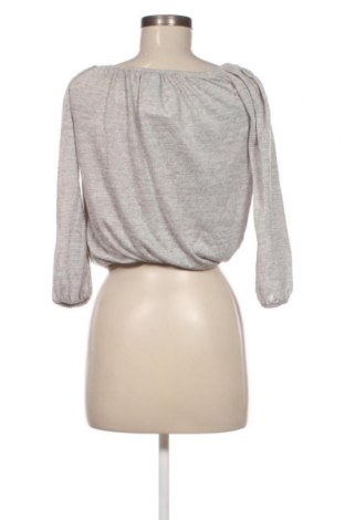 Damen Shirt Zebra, Größe XS, Farbe Grau, Preis 2,91 €