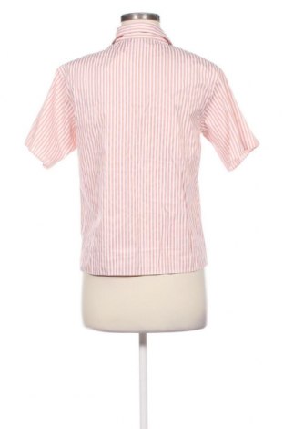 Дамска риза Dorothy Perkins, Размер M, Цвят Розов, Цена 18,27 лв.