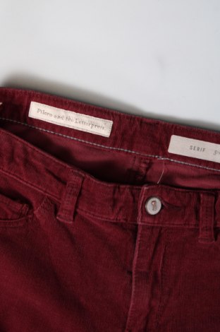 Pantaloni de velvet de femei Pilcro and the Letterpress, Mărime S, Culoare Roșu, Preț 21,25 Lei