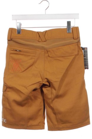Damen Shorts Dakine, Größe XXS, Farbe Orange, Preis 9,28 €