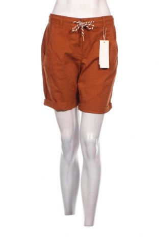 Γυναικείο κοντό παντελόνι Tom Tailor, Μέγεθος M, Χρώμα Καφέ, Τιμή 18,56 €