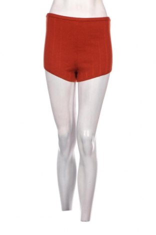 Damen Shorts Undiz, Größe L, Farbe Braun, Preis 4,82 €