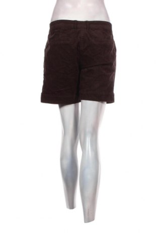 Damen Shorts Woman By Tchibo, Größe M, Farbe Braun, Preis 3,83 €