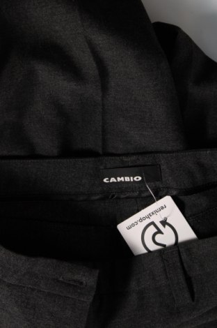 Γυναικείο παντελόνι Cambio, Μέγεθος M, Χρώμα Γκρί, Τιμή 30,31 €