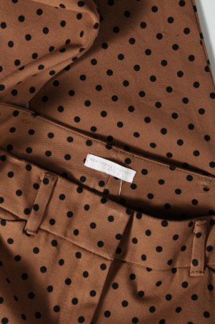 Дамски панталон New York & Company, Размер S, Цвят Кафяв, Цена 8,70 лв.