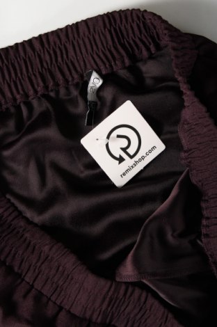 Γυναικείο παντελόνι Oviesse, Μέγεθος XXL, Χρώμα Βιολετί, Τιμή 10,20 €
