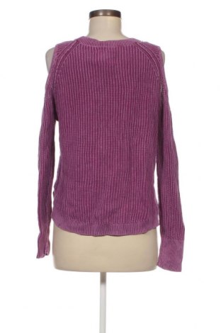 Damenpullover Hollister, Größe S, Farbe Lila, Preis 7,06 €