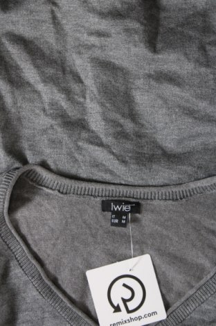 Γυναικείο πουλόβερ Iwie, Μέγεθος M, Χρώμα Γκρί, Τιμή 7,36 €