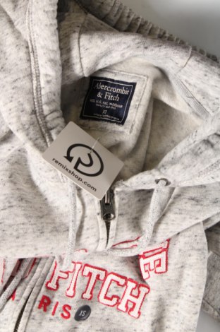 Damen Sweatshirt Abercrombie & Fitch, Größe XS, Farbe Grau, Preis 52,58 €