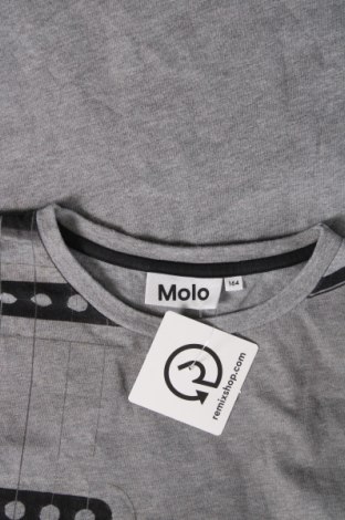 Παιδική μπλούζα Molo, Μέγεθος 13-14y/ 164-168 εκ., Χρώμα Γκρί, Τιμή 9,40 €