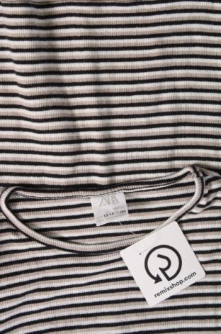 Παιδική μπλούζα Zara, Μέγεθος 13-14y/ 164-168 εκ., Χρώμα Πολύχρωμο, Τιμή 2,77 €