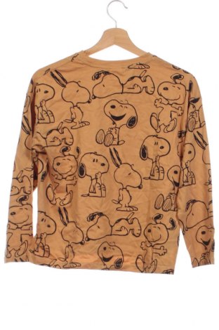 Детска блуза Zara, Размер 13-14y/ 164-168 см, Цвят Кафяв, Цена 21,00 лв.