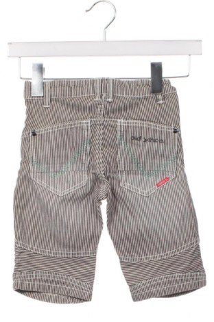Детски къс панталон Name It, Размер 18-24m/ 86-98 см, Цвят Сив, Цена 19,00 лв.